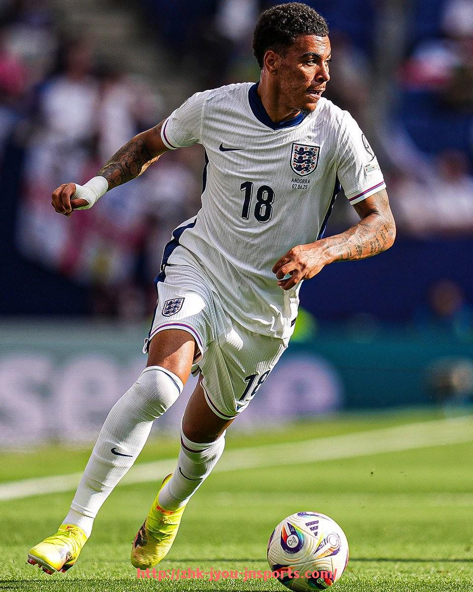 jiuyou九游娱乐-法甲外援表现回顾：赛季数据与场上表现综合评价